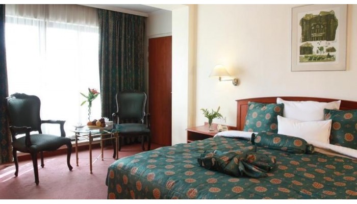 Hotel Grand Palace poza 9