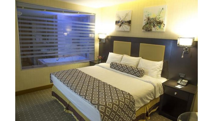 Hotel Olive Tree Amman poza 6